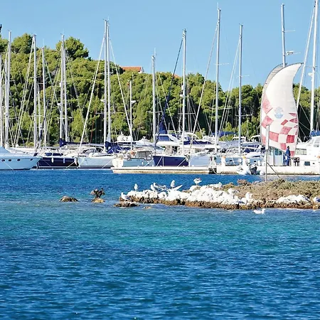 Pet Friendly In Apartman *