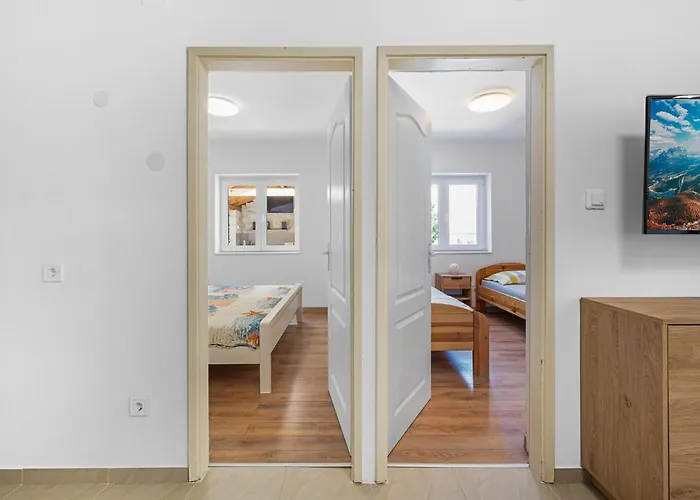 Pet Friendly In Apartamento *