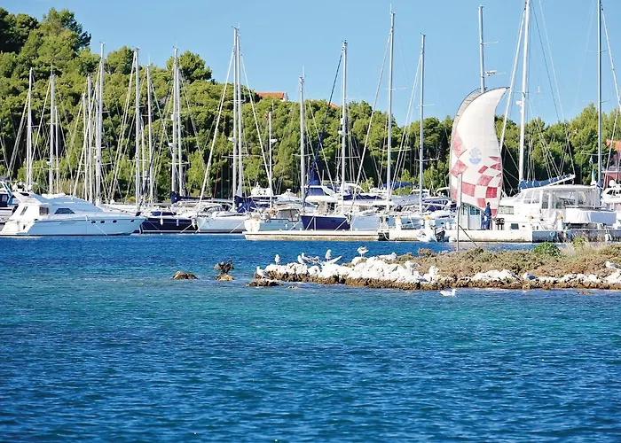 Pet Friendly In Apartamento *